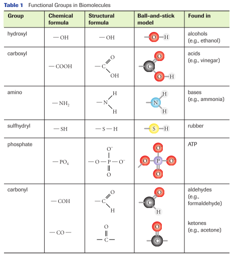 Functional Groups Chart
